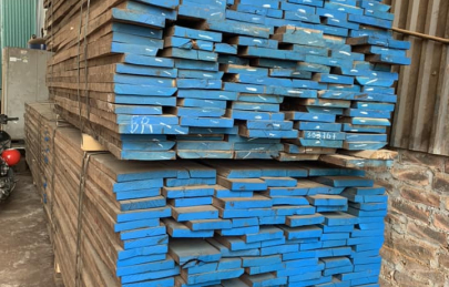 Quy trình sản xuất gỗ óc chó chuyên nghiệp tại Việt Á Đông 